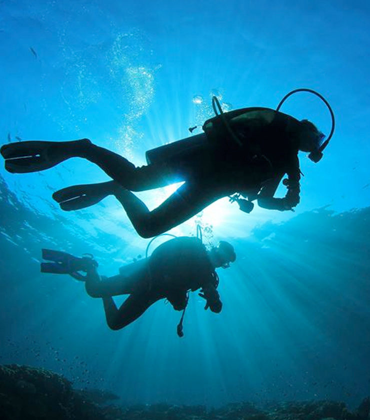 Dive-Salvage-Services